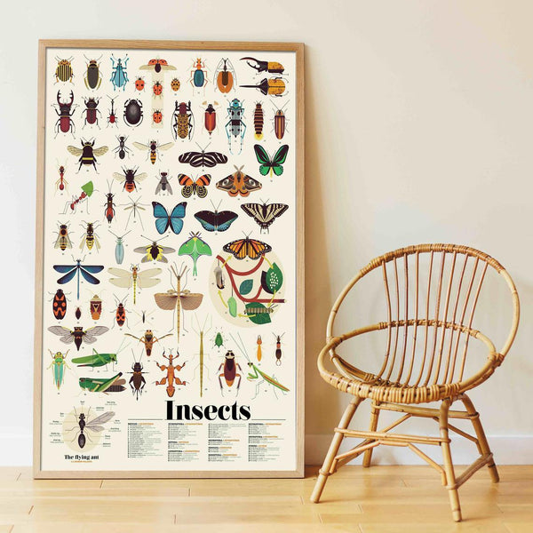 Insect Discovery Sticker Poster - Little Nomad