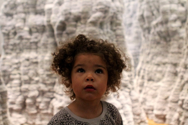 Wonder At The Renwick Gallery - Little Nomad