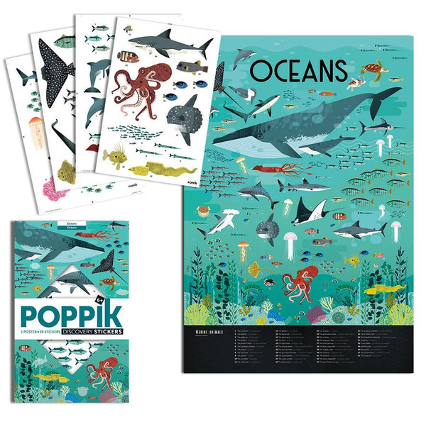 Animals of the Ocean Discovery Sticker Poster - Little Nomad