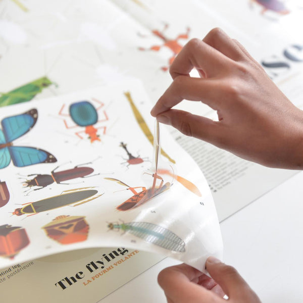 insect-discovery-sticker-poster-458528_grande.jpg?v=1609723708