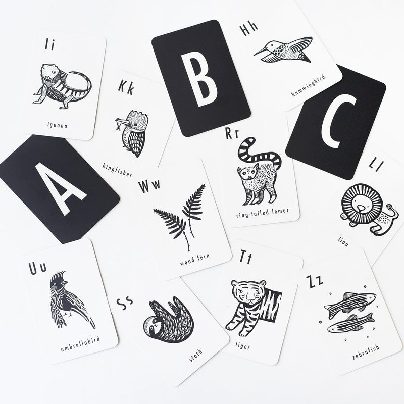 Animal Alphabet Cards | Jungle - Little Nomad